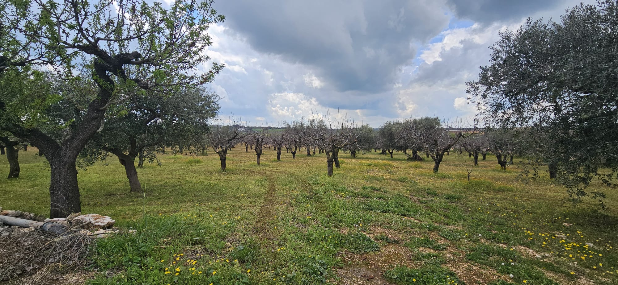 Terreno di 33.700 mq ca. con Fabbricato Rurale